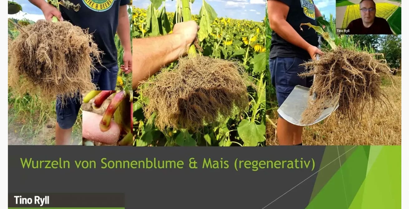 Flämingbauer Tino Ryll Regenerative Landwirtschaft