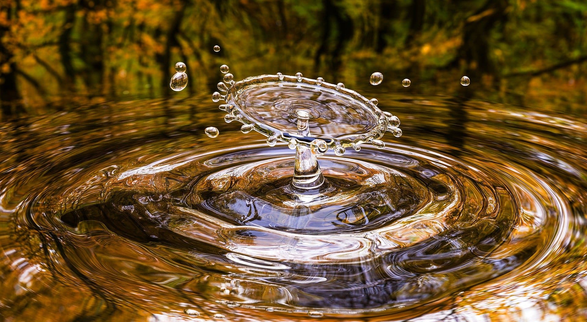 Fotowettbewerb: “Wasser ist Leben!” | Deutsche Bauernzeitung