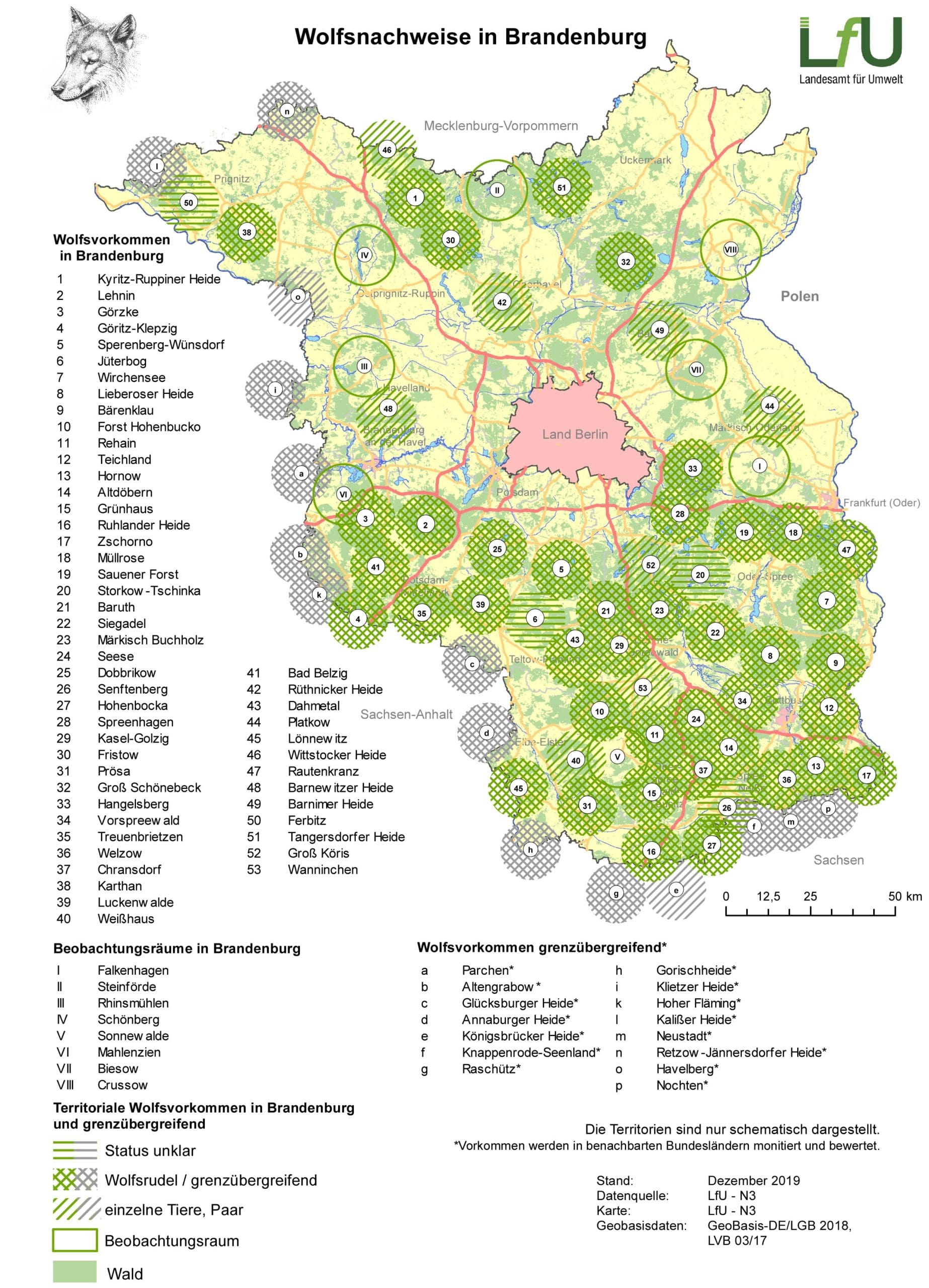 Uber 300 Wolfe In Brandenburg Bauernzeitung