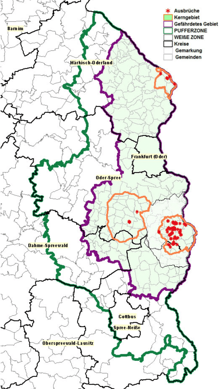 ++ Bundeswehr Errichtet Wildzaun Gegen ASP In Sachsen-Anhalt++ ...