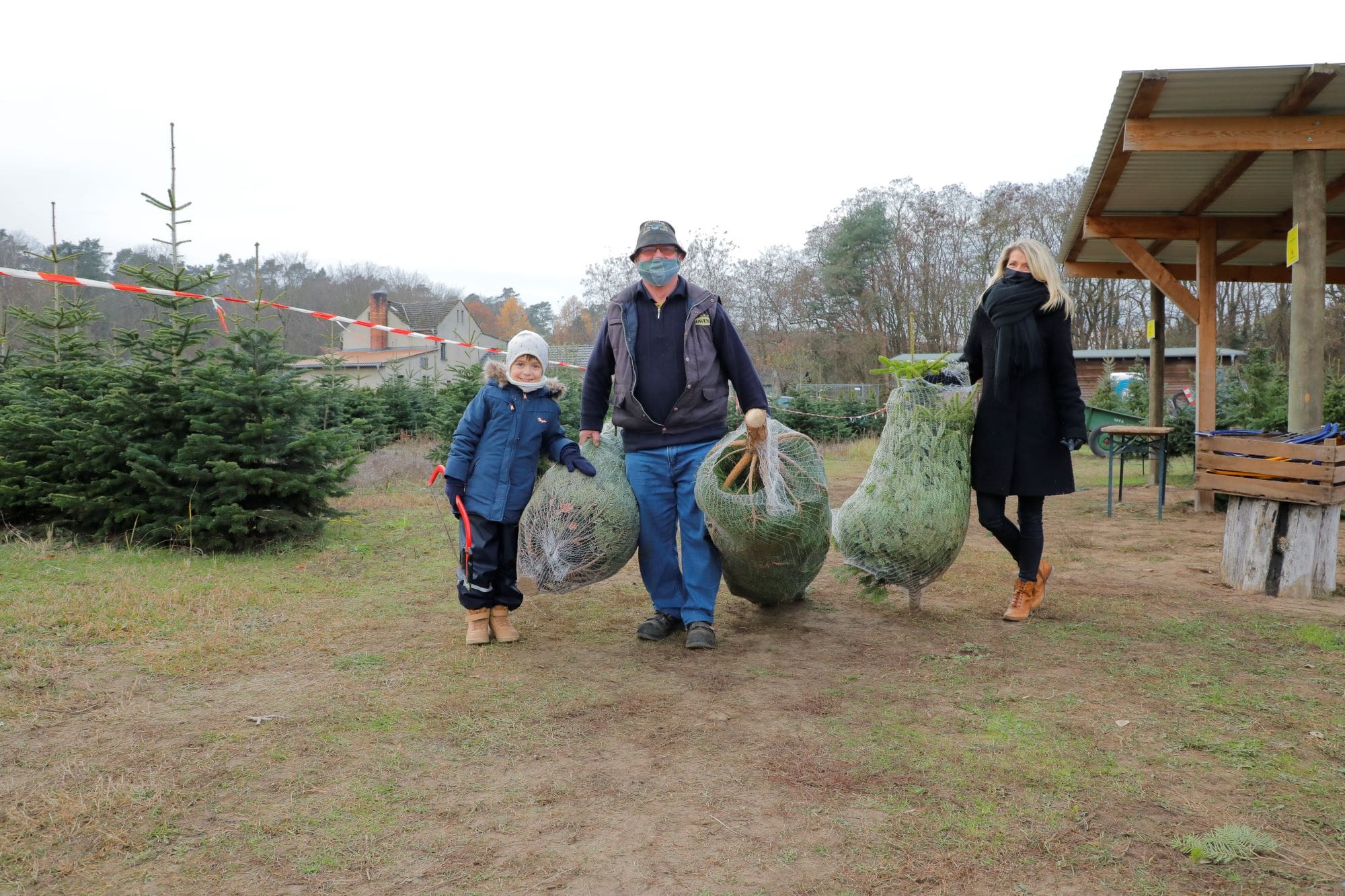 Weihnachtsbaum Fällen mit Vorfreude und Distanz